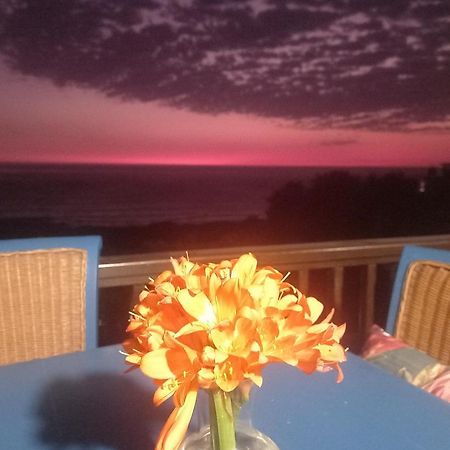 شقة Mussel Beach Holiday Lets كيب تاون المظهر الخارجي الصورة