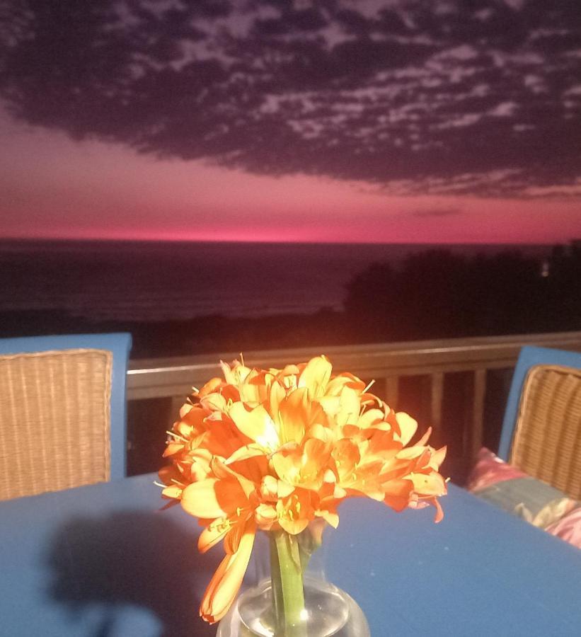 شقة Mussel Beach Holiday Lets كيب تاون المظهر الخارجي الصورة